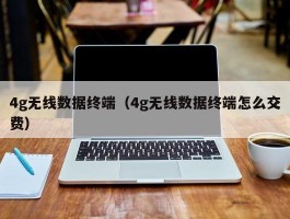 4g无线数据终端(4g无线数据终端怎么交费)
