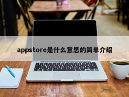 appstore是什么意思的简单介绍