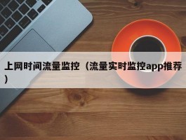 上网时间流量监控(流量实时监控app推荐)