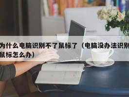 为什么电脑识别不了鼠标了(电脑没办法识别鼠标怎么办)