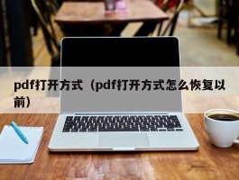 pdf打开方式（pdf打开方式怎么恢复以前）