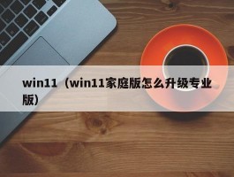 win11(win11家庭版怎么升级专业版)