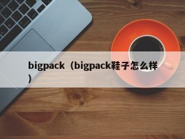 bigpack(bigpack鞋子怎么样)