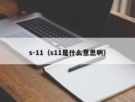 s-11(s11是什么意思啊)