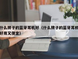 什么牌子的蓝牙耳机好(什么牌子的蓝牙耳机好用又便宜)
