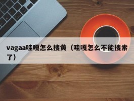 vagaa哇嘎怎么搜黄(哇嘎怎么不能搜索了)