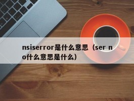nsiserror是什么意思(ser no什么意思是什么)