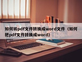 如何将pdf文件转换成word文件(如何把pdf文件转换成word)
