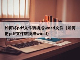 如何将pdf文件转换成word文件（如何把pdf文件转换成word）