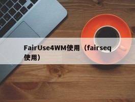 FairUse4WM使用(fairseq使用)