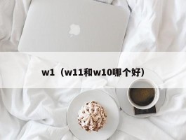 w1(w11和w10哪个好)
