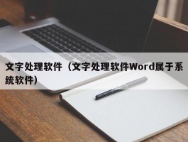 文字处理软件（文字处理软件Word属于系统软件）