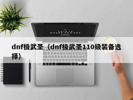 dnf极武圣（dnf极武圣110级装备选择）