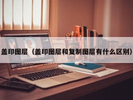 盖印图层(盖印图层和复制图层有什么区别)