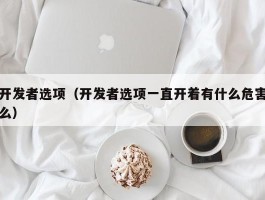 开发者选项(开发者选项一直开着有什么危害么)