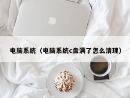 电脑系统(电脑系统c盘满了怎么清理)