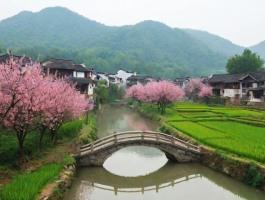 《桃源深处有人家》游戏全解析:打造属于你的东方田园梦想家园
