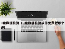 u盘数据恢复(u盘数据恢复软件免费版哪个好)