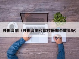共振音响(共振音响和震楼器哪个效果好)