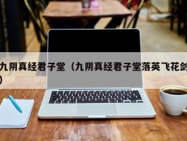 九阴真经君子堂(九阴真经君子堂落英飞花剑)
