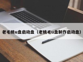 老毛桃u盘启动盘（老桃毛u盘制作启动盘）