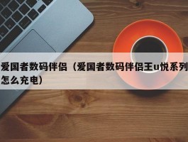 爱国者数码伴侣（爱国者数码伴侣王u悦系列怎么充电）