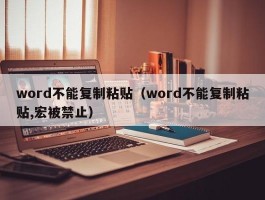 word不能复制粘贴(word不能复制粘贴,宏被禁止)