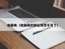 收藏夹(收藏夹的网址突然不见了)
