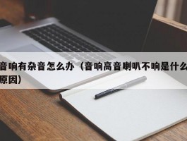 音响有杂音怎么办（音响高音喇叭不响是什么原因）