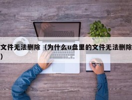 文件无法删除(为什么u盘里的文件无法删除)