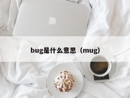 bug是什么意思(mug)