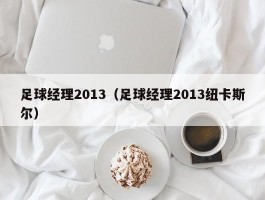 足球经理2013（足球经理2013纽卡斯尔）