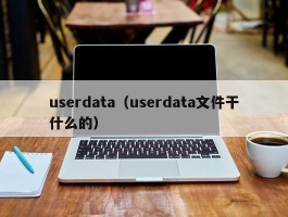 userdata（userdata文件干什么的）