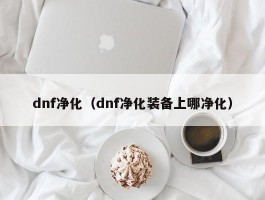 dnf净化(dnf净化装备上哪净化)
