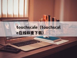 touchscale（touchscale在线称重下载）