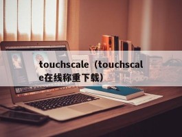 touchscale(touchscale在线称重下载)