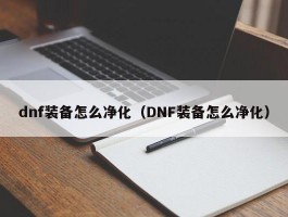 dnf装备怎么净化（DNF装备怎么净化）