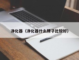 净化器(净化器什么牌子比较好)