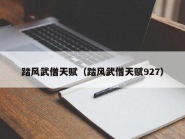 踏风武僧天赋(踏风武僧天赋927)
