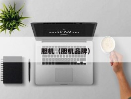 胆机(胆机品牌)