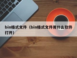 bin格式文件(bin格式文件用什么软件打开)
