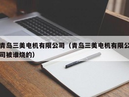 青岛三美电机有限公司(青岛三美电机有限公司被谁烧的)