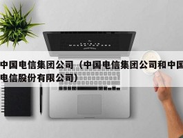 中国电信集团公司（中国电信集团公司和中国电信股份有限公司）