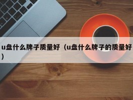 u盘什么牌子质量好(u盘什么牌子的质量好)