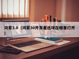 鸿蒙3.0（鸿蒙30开发者选项在哪里打开）