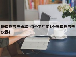 厨房燃气热水器(3个卫生间1个厨房燃气热水器)