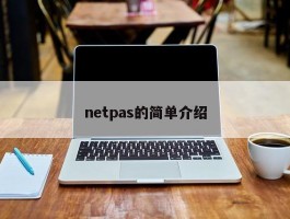 netpas的简单介绍