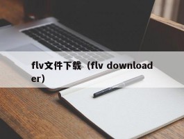 flv文件下载（flv downloader）