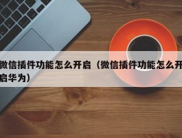 微信插件功能怎么开启(微信插件功能怎么开启华为)