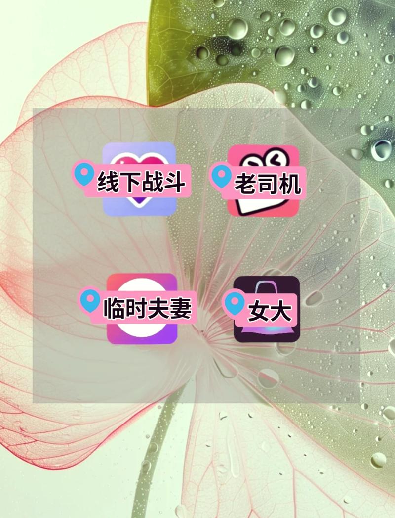 伴你同行聊天交友软件